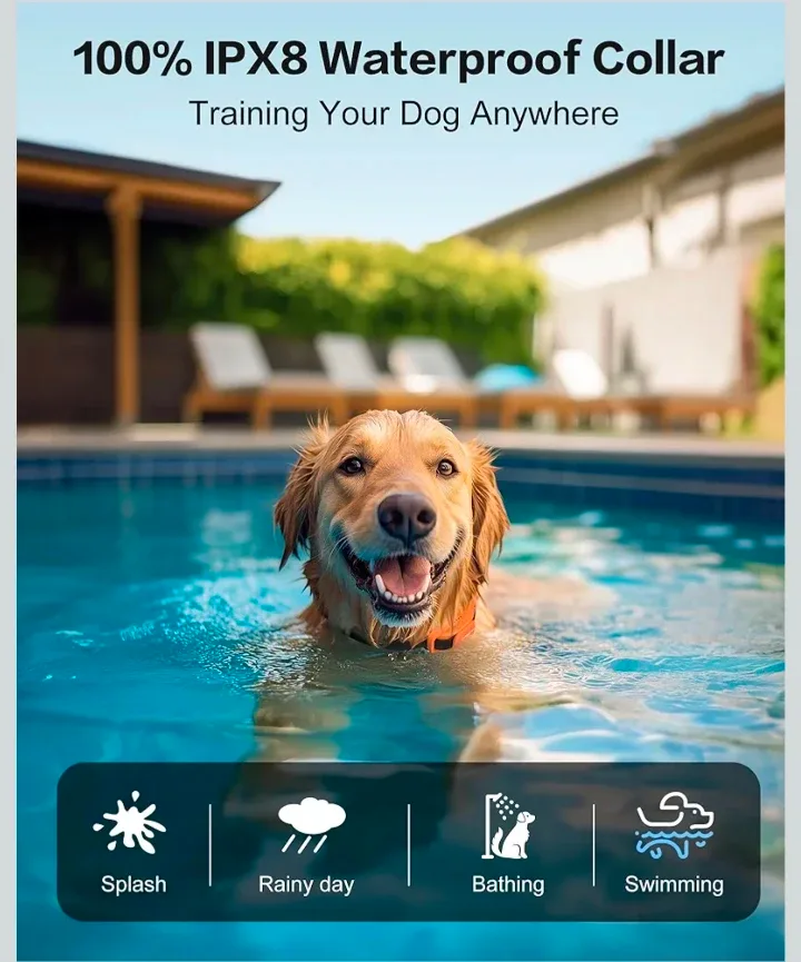 Shock Collar for Dogs image indicator(4)