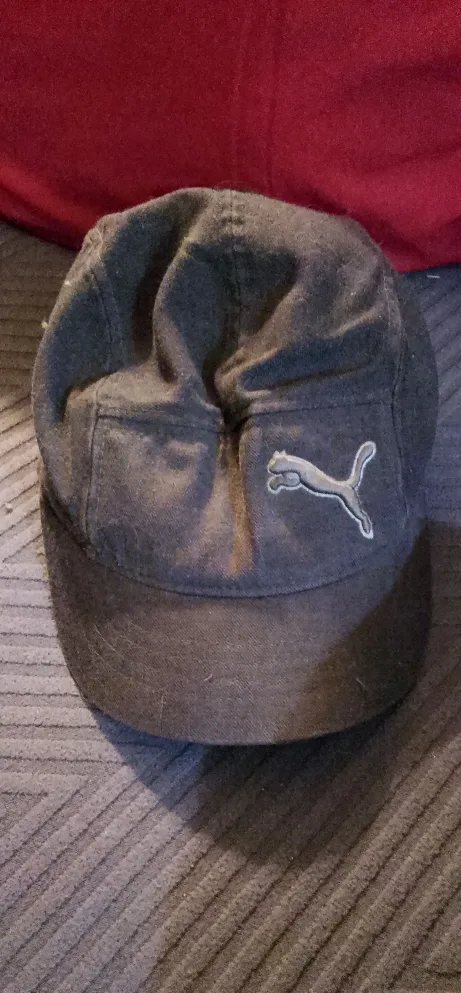 Puma Hat