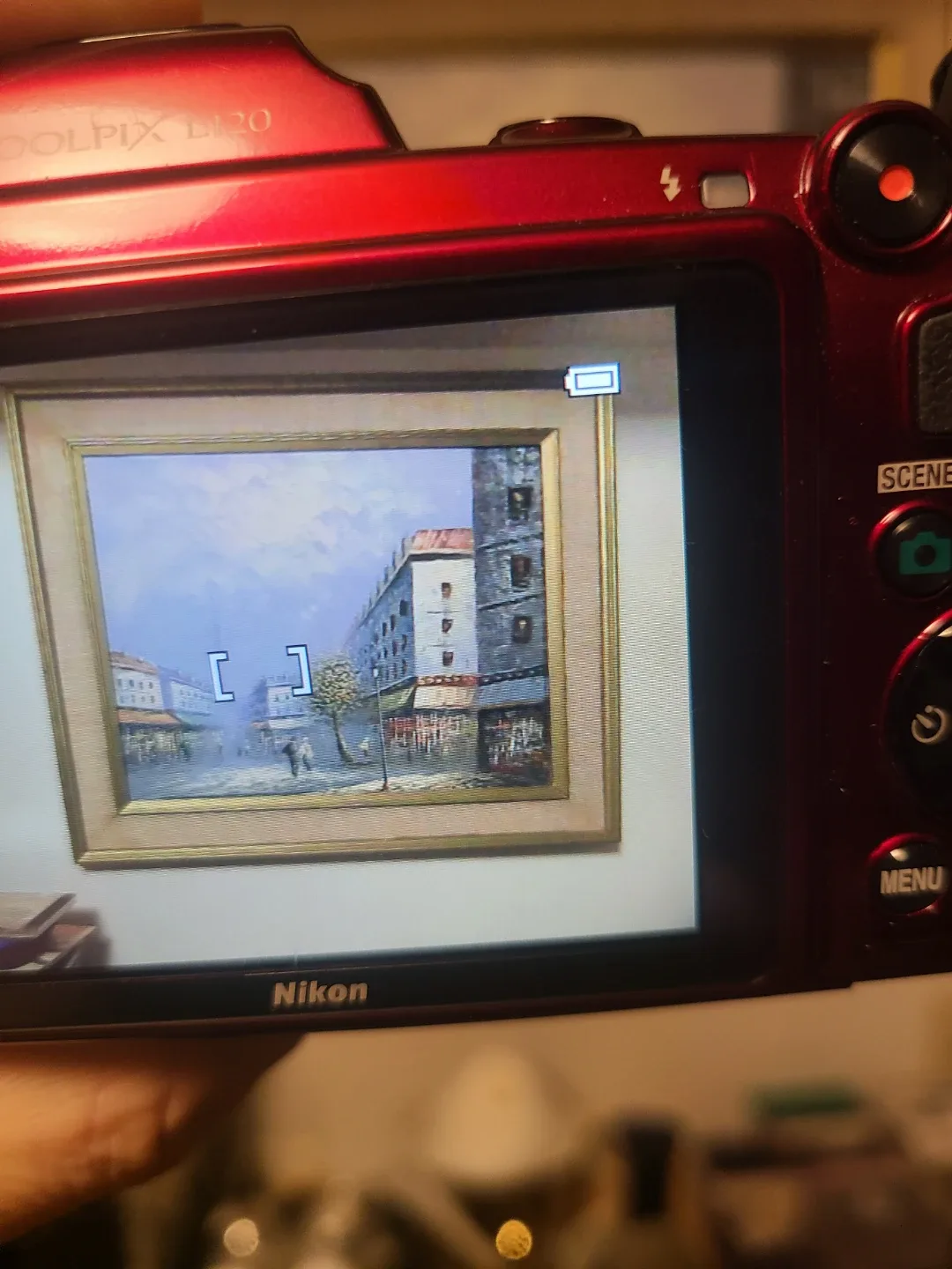 Nikon Coolpix L120 Digital Camera - Red image indicator(8)