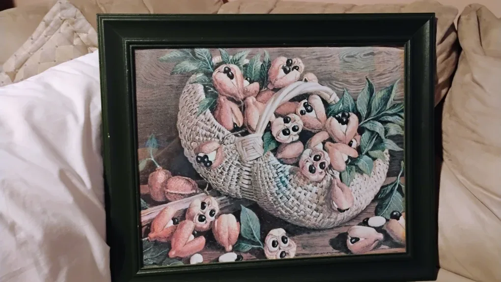 18 X 24  framed picture of Ackee Fruit in a Basket image indicator(2)