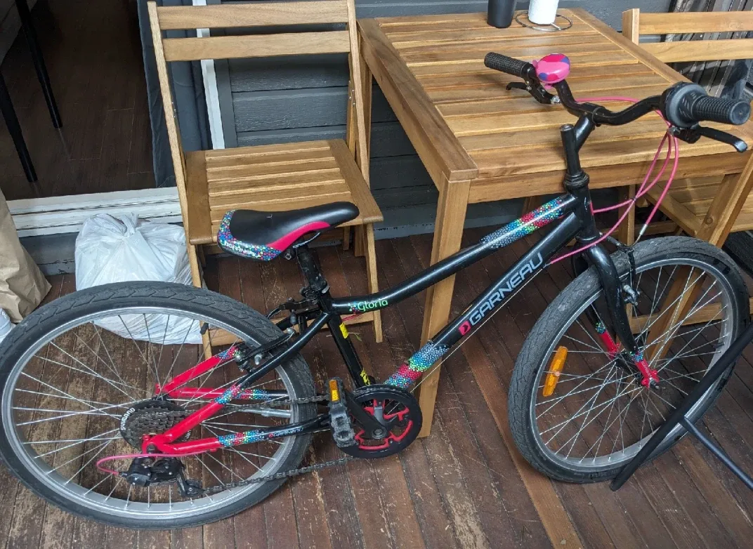 Louis Garneau Gloria 24" - Barely Ridden, All New Parts! image indicator(2)