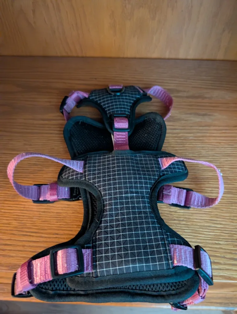 KONG Dog Harness & Leash Set image indicator(2)