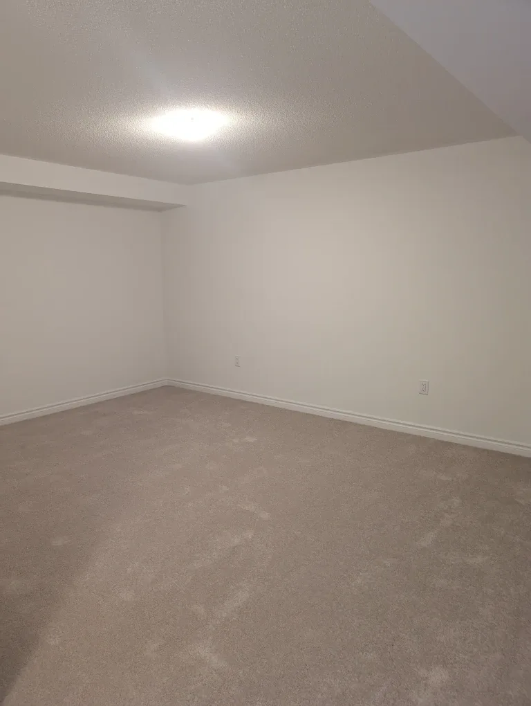 1 Bedroom Basement Apartment