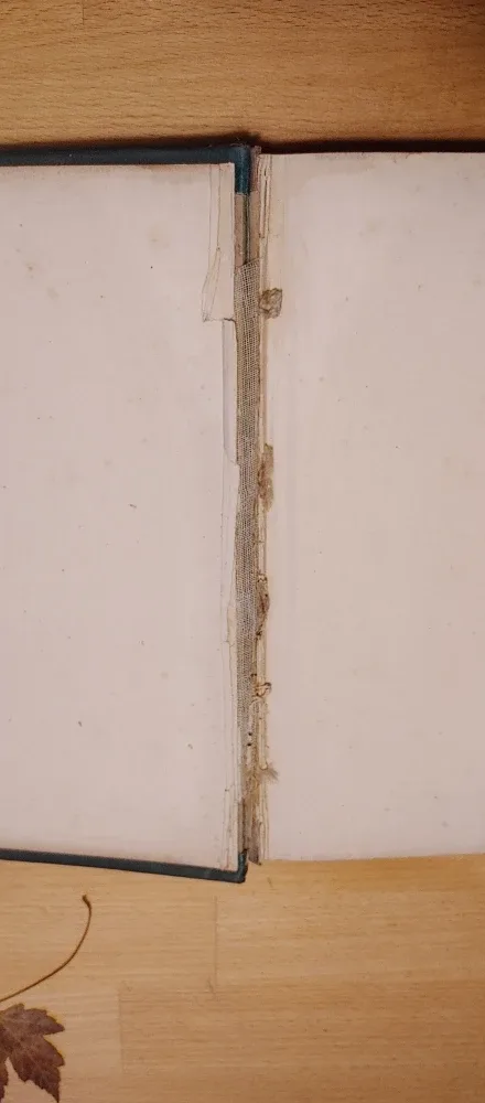 Antique Don Quixote image indicator(6)