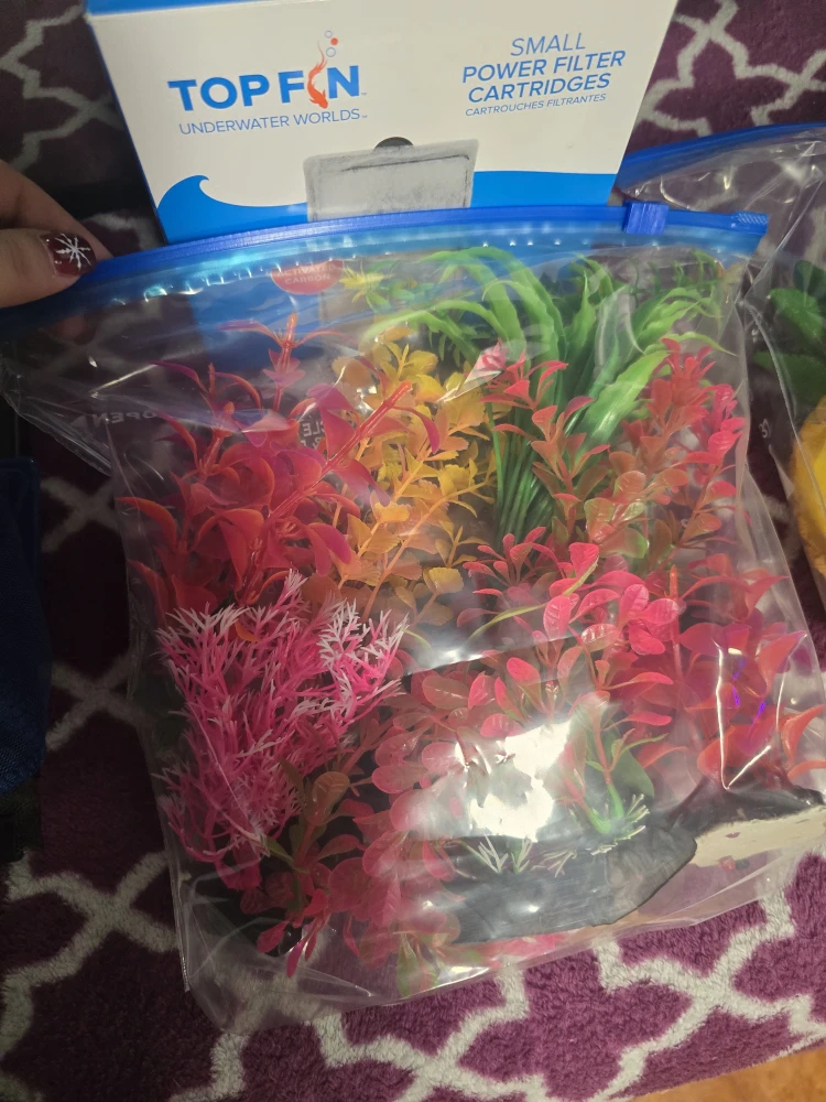 10 gallon Fish tank with accessories - photo 3