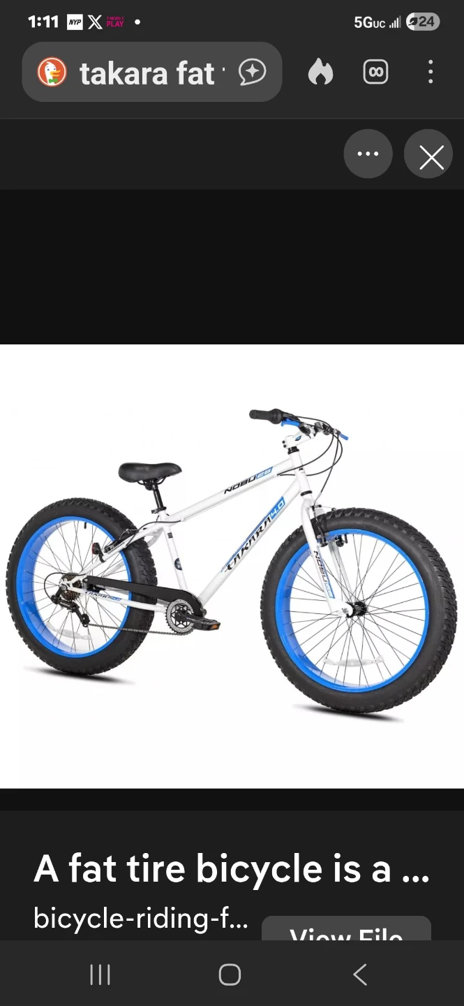 Takara Nobu Fat Tire Bike