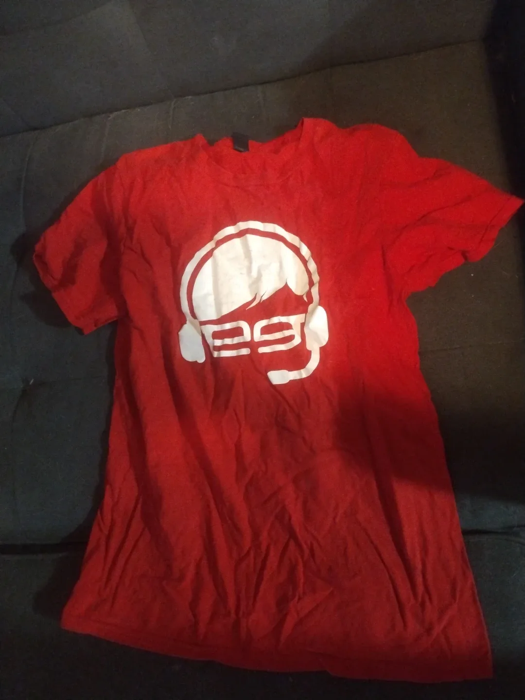 Ethan gamer Red T-Shirt with Graphic Print thumbnail