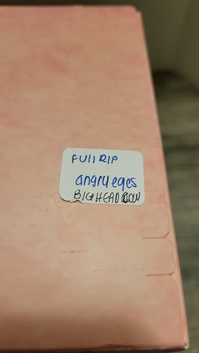 Big Head Baby Baby Three Plush Toy image indicator(7)