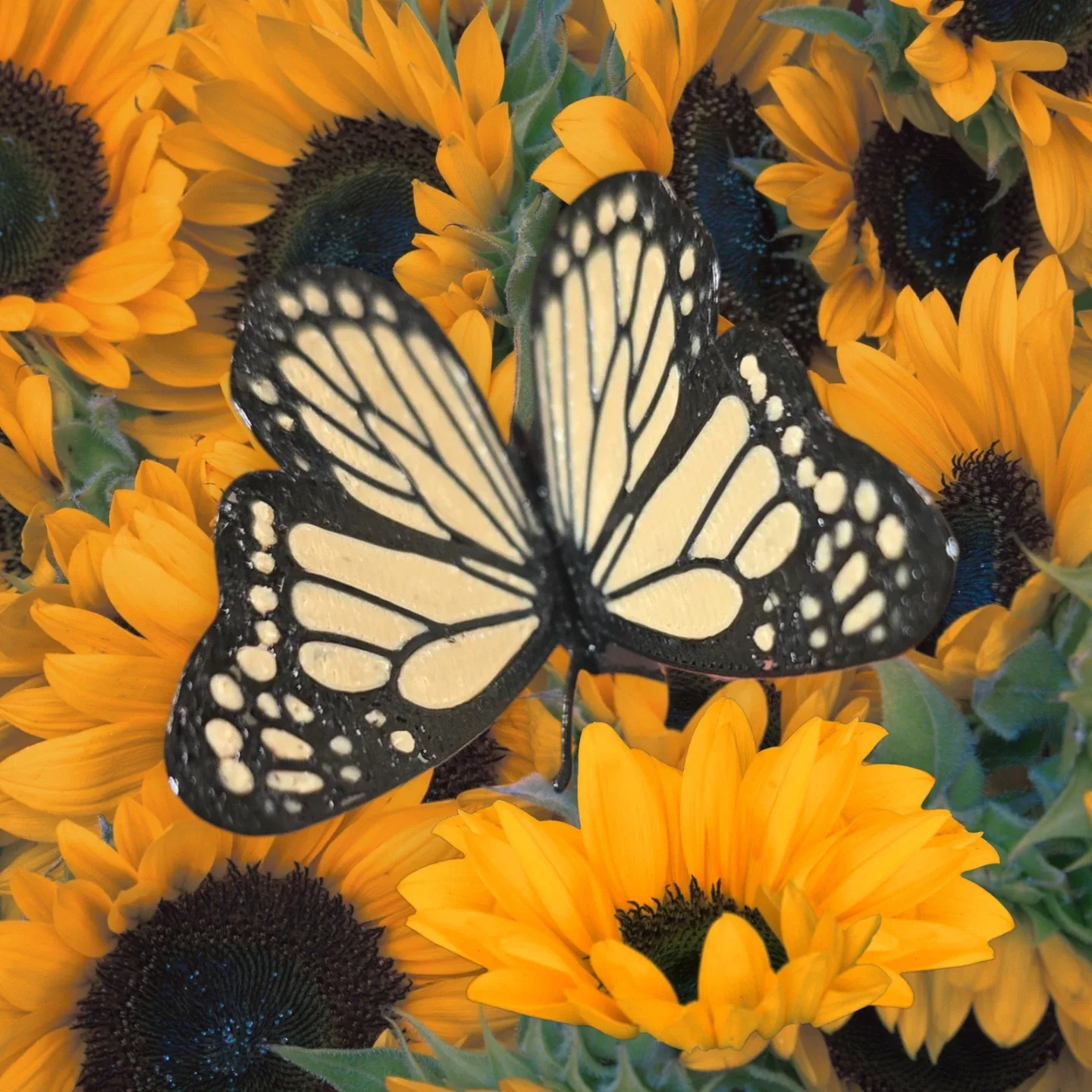 Bookmark, butterfly. image indicator(4)