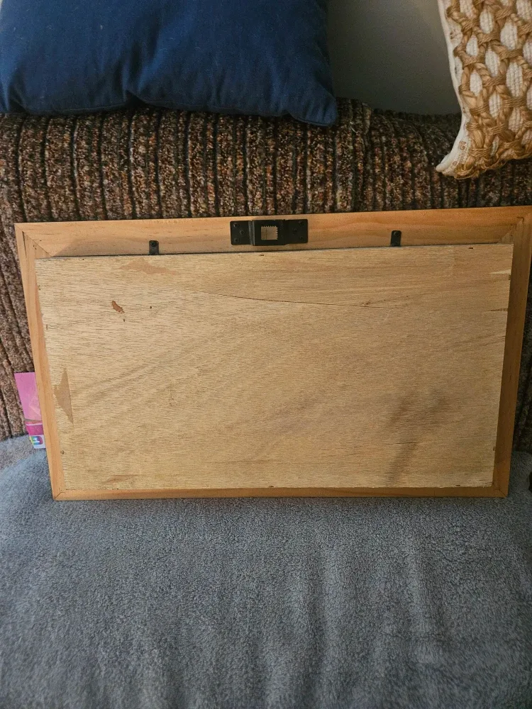 Framed Vintage Brooch Collection image indicator(6)