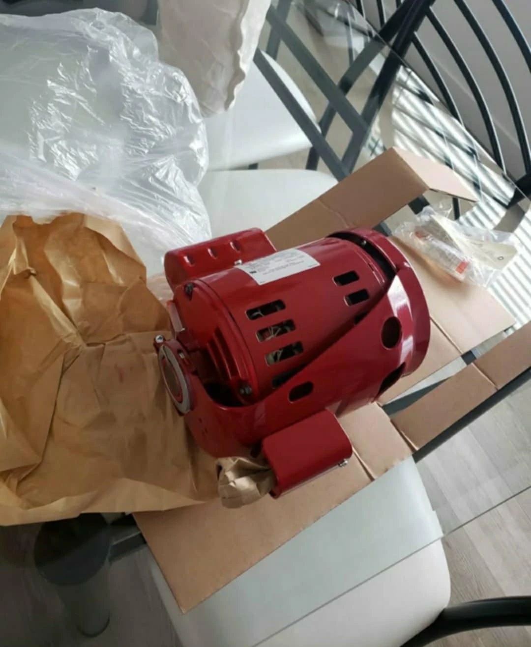 Bell & Gossett Electric Motor 1/3 hp - photo 3