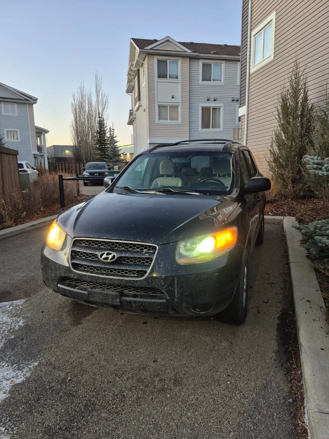 2007 Hyundai snatafe