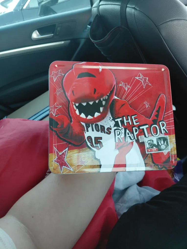 Toronto raptors lunch box