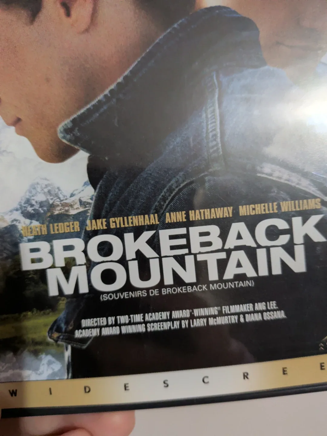 Brokeback Mountain DVD image indicator(5)