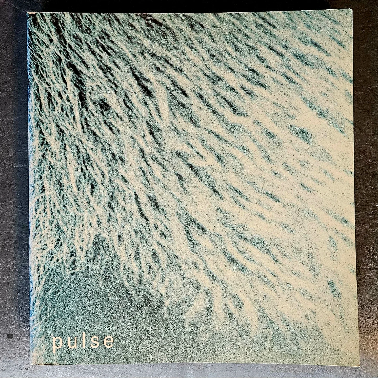 Pulse Photography Catalog ✨️ image indicator(2)