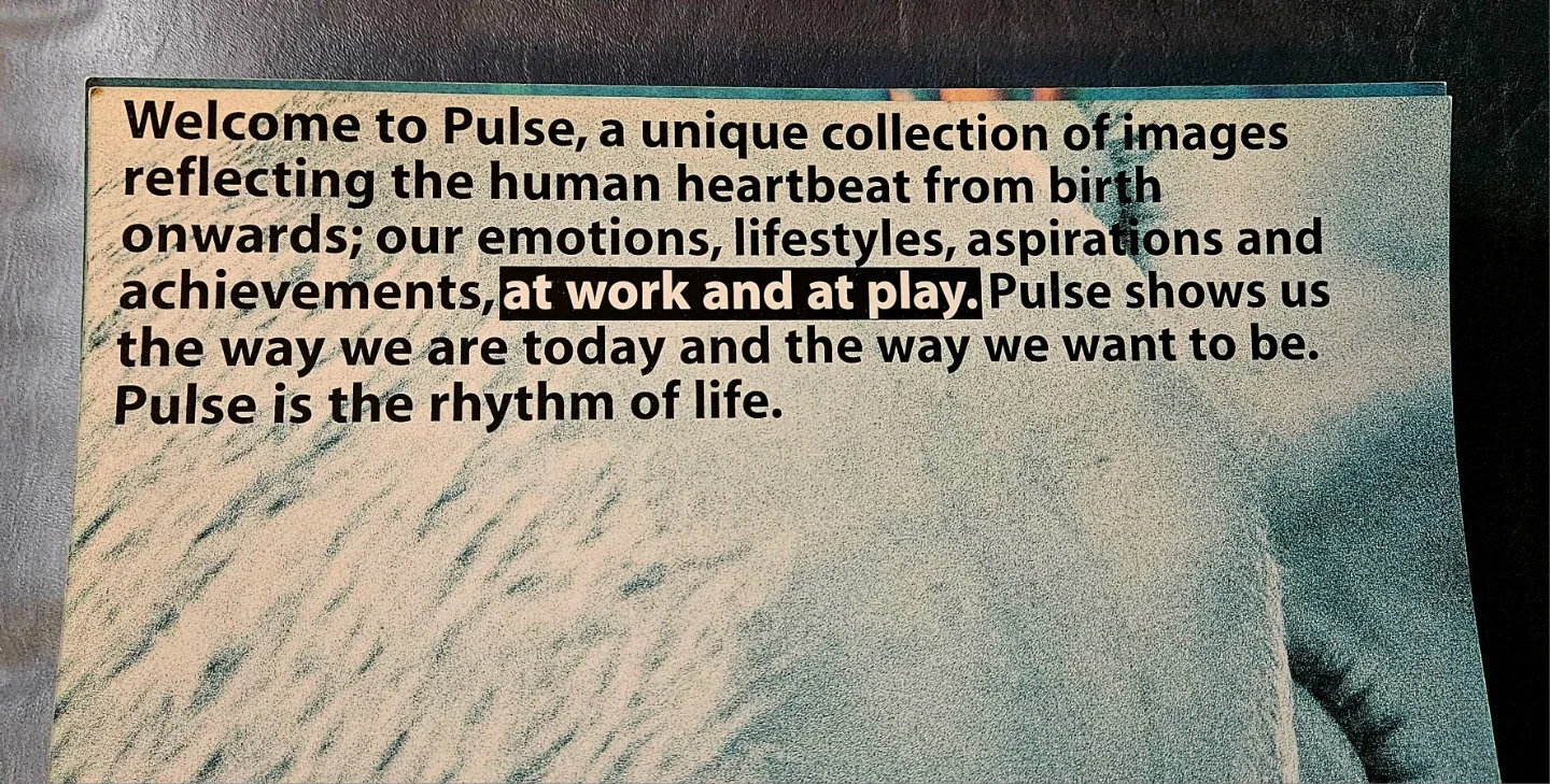 Pulse Photography Catalog ✨️ image indicator(3)