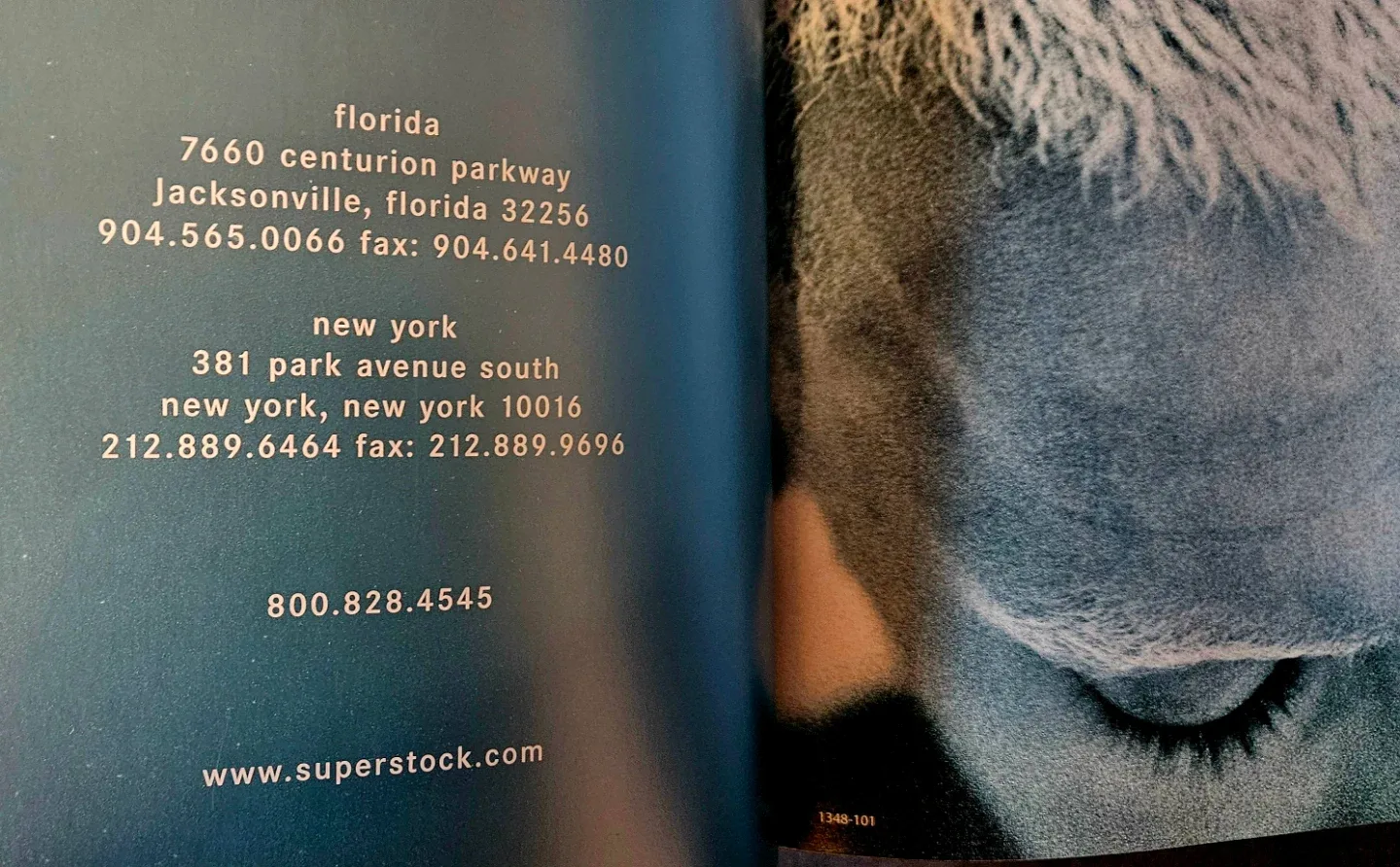 Pulse Photography Catalog ✨️ image indicator(4)