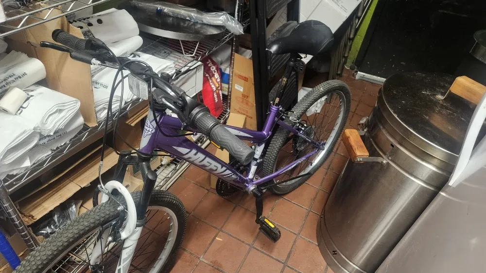 Huffy Purple Mountain Bike