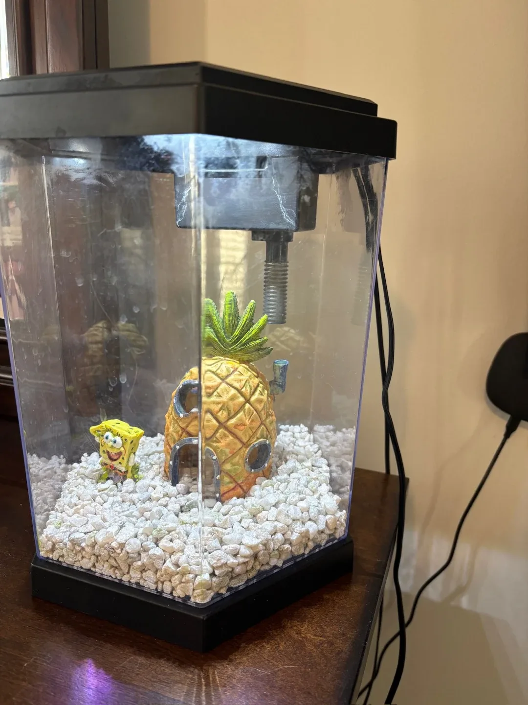 Adorable fish tank/aquarium with decor image indicator(2)