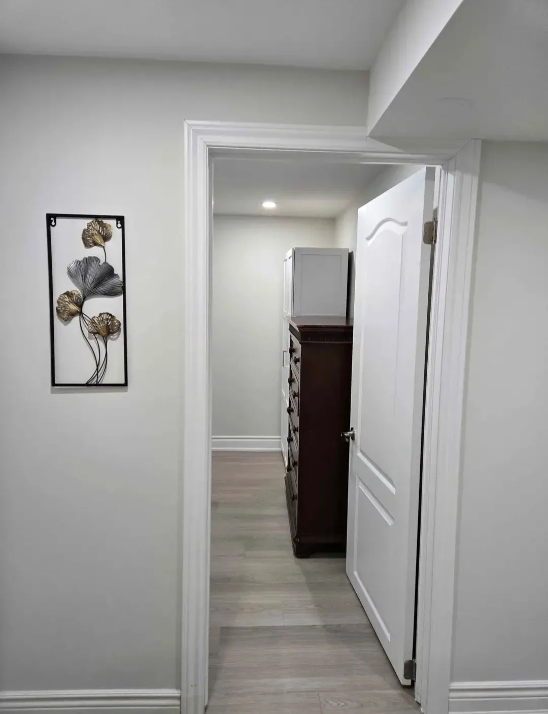 Private room for rent in the basement (Girl only) image indicator(5)