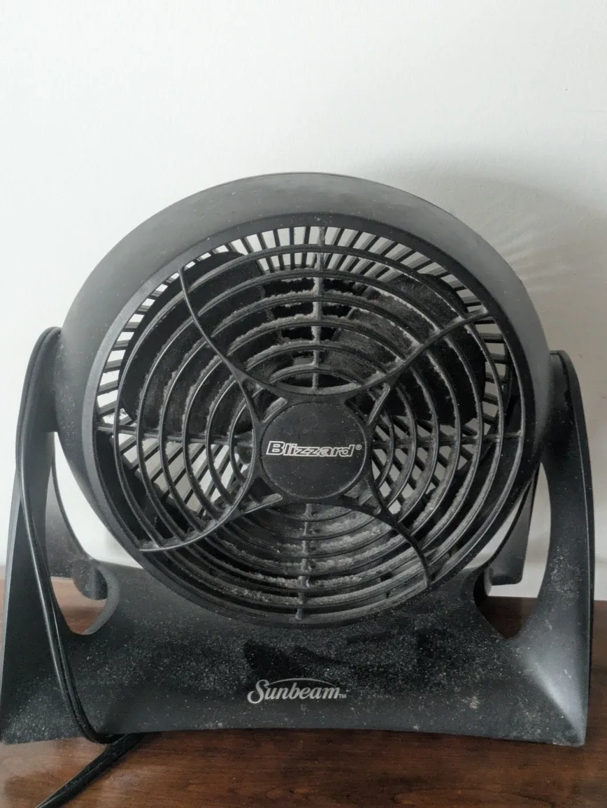 Sunbeam Blizzard Fan - Black