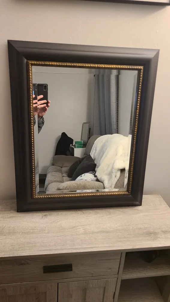 Framed Wall Mirror - Black & Gold Accent