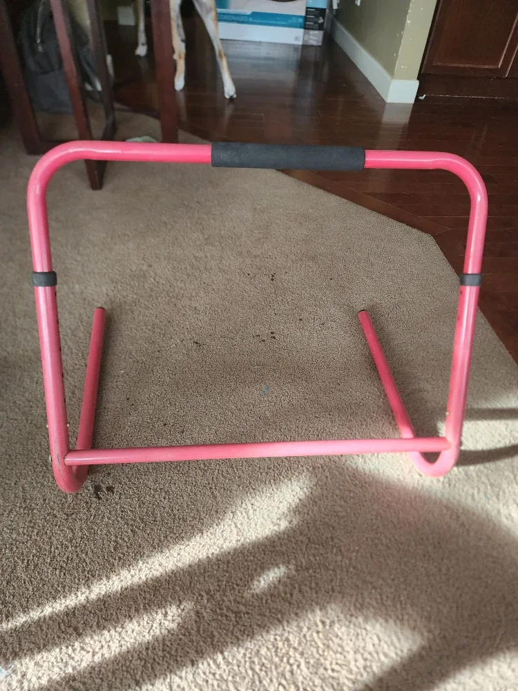 Adjustable skate assist railing