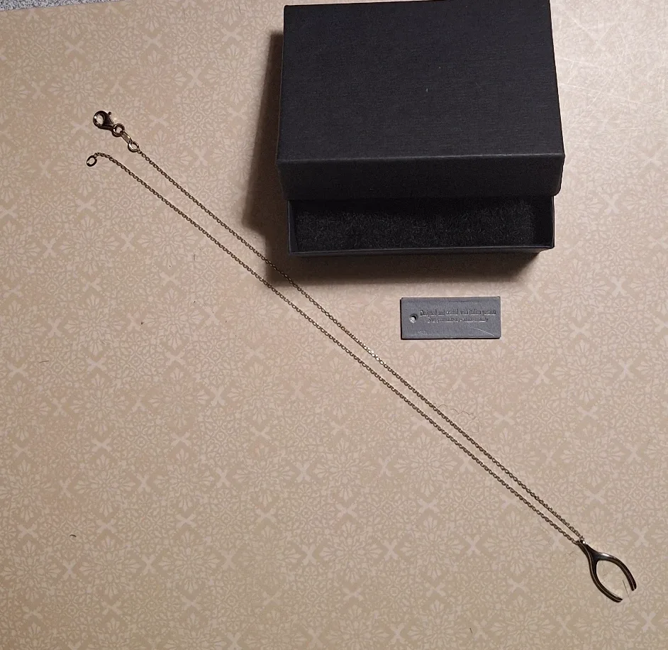 925 Sterling Silver Wishbone Necklace image indicator(4)