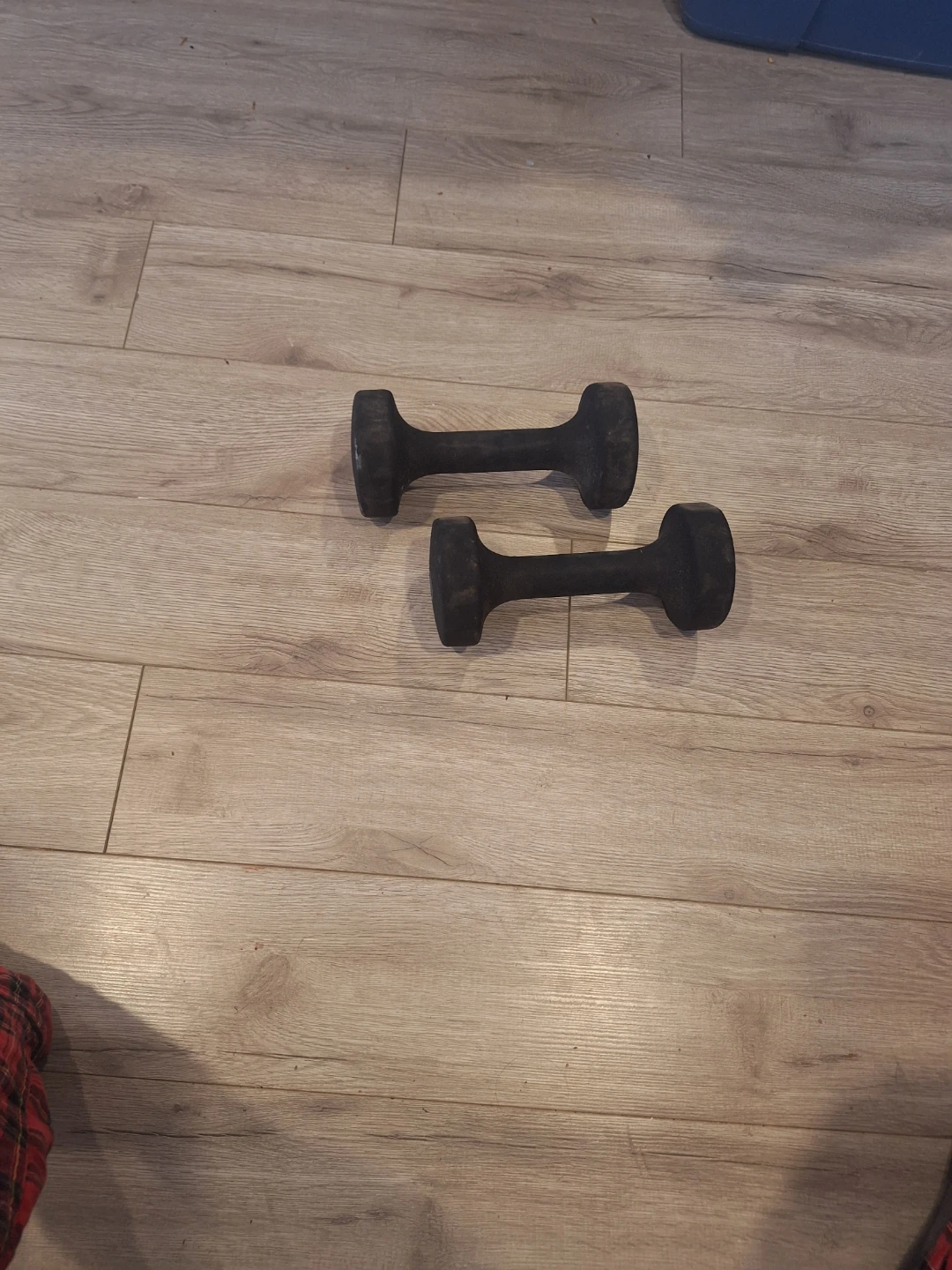 Pair of 10lb Dumbbells - photo 2