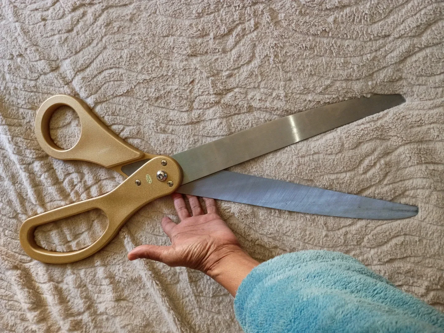 GIANT Novelty Scissors that Actually WORK! thumbnail