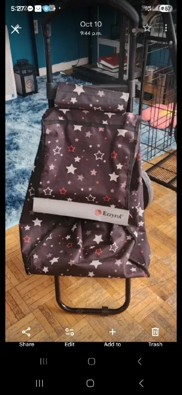 Small Ezzyrol Shopping Cart