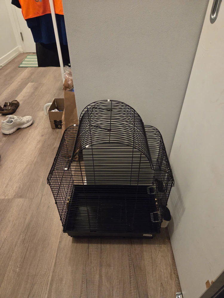 Black Bird Cage - photo 2