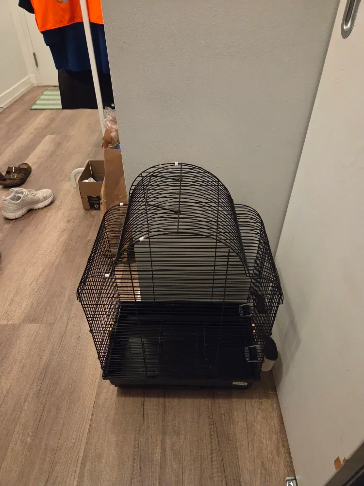 Black Bird Cage image indicator(2)