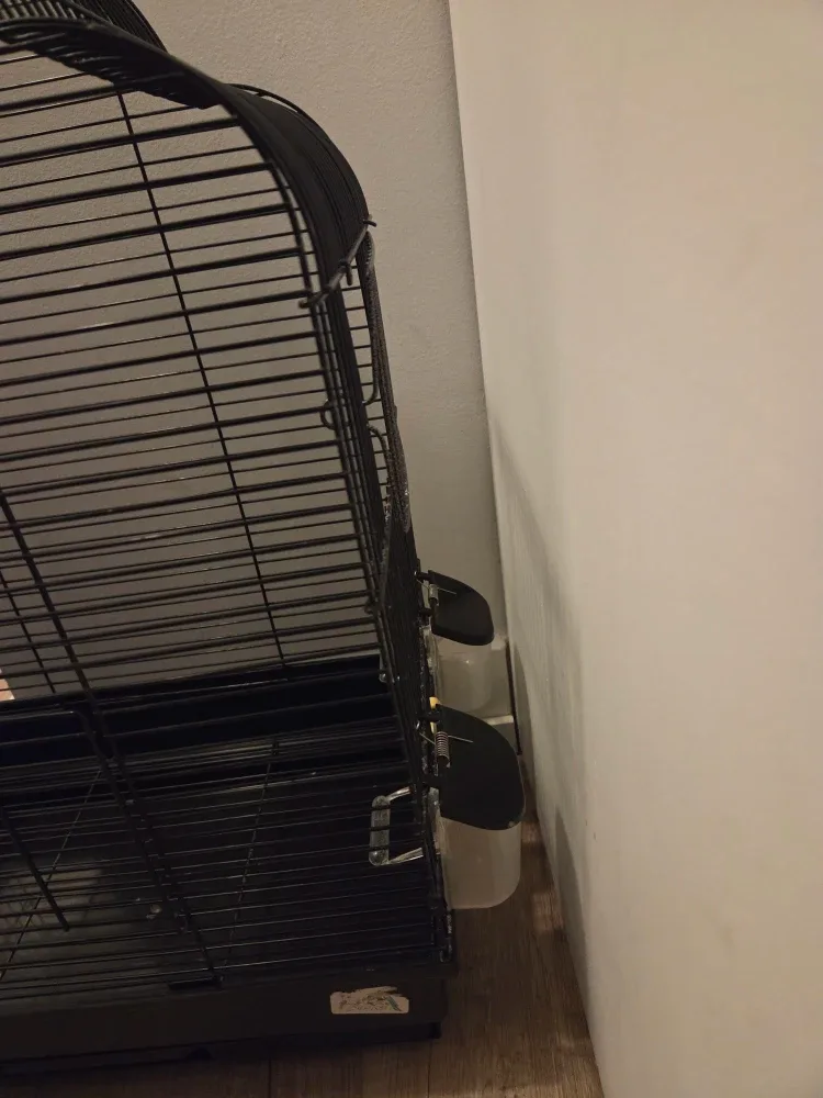 Black Bird Cage image indicator(4)