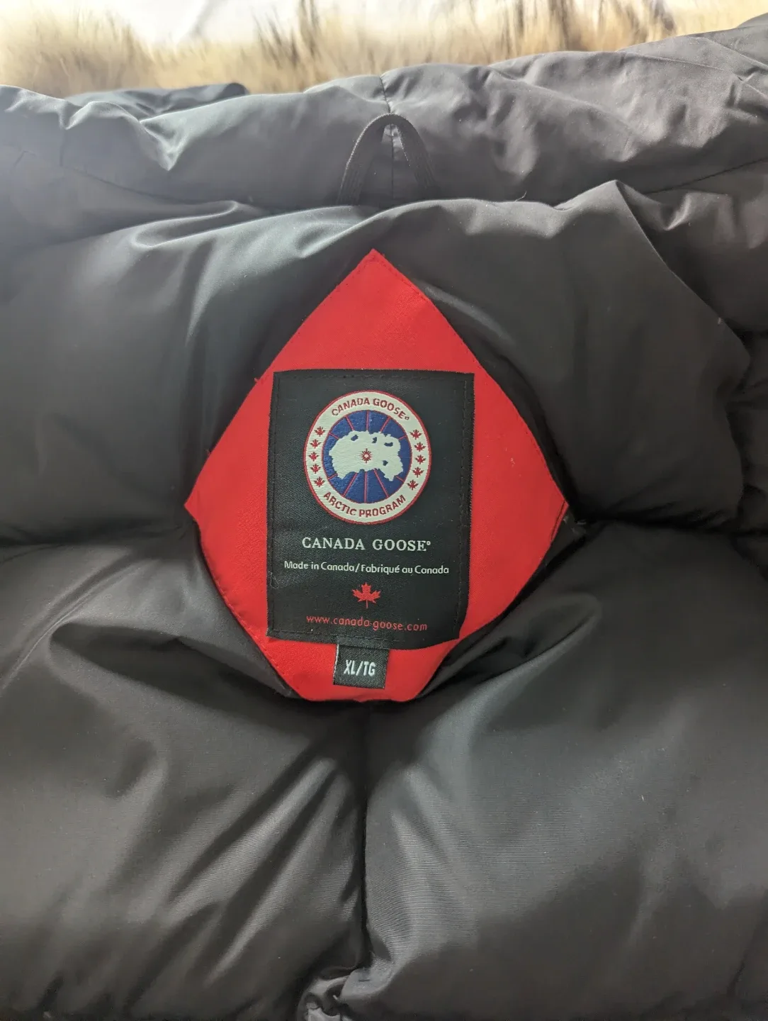 Canada Goose Arctic Program Parka - XL image indicator(3)