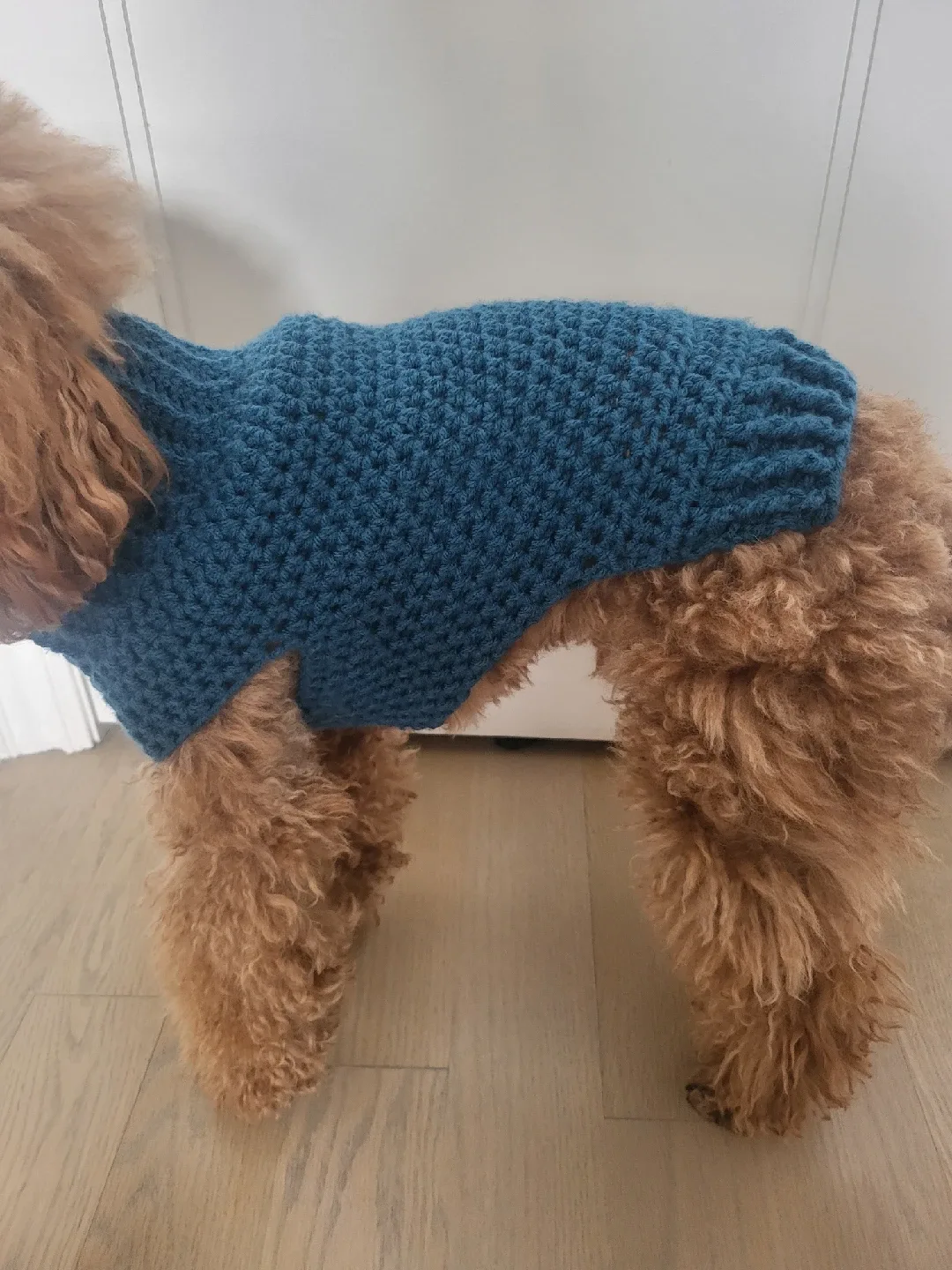 Blue Knitted Dog Sweater thumbnail