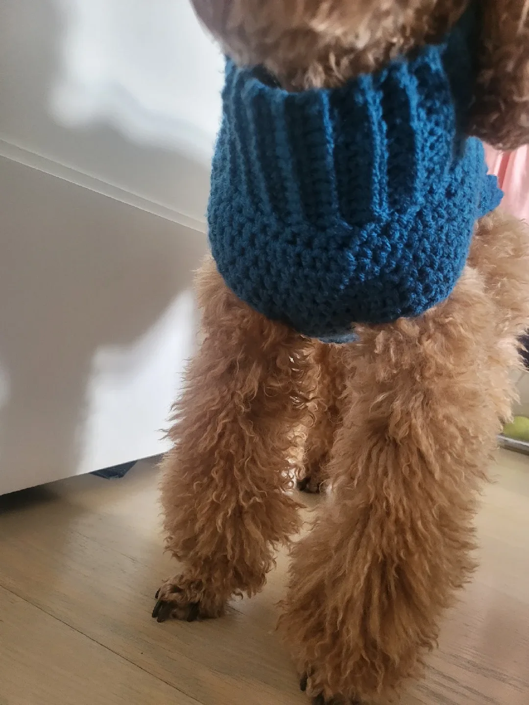 Blue Knitted Dog Sweater image indicator(2)