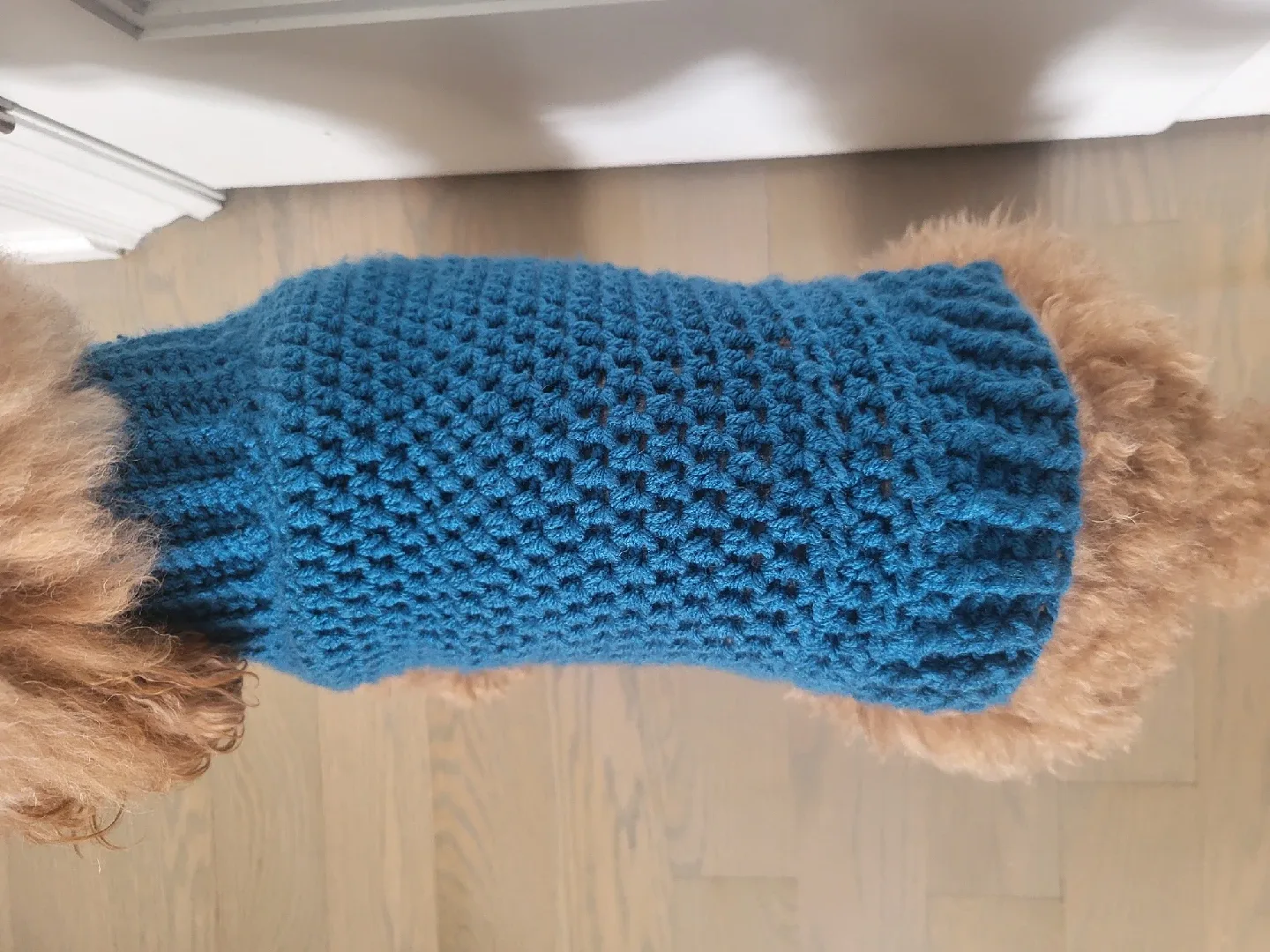 Blue Knitted Dog Sweater image indicator(3)