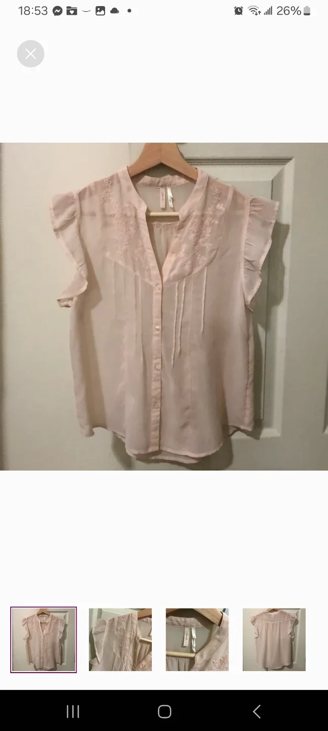 Frenchie sheer Light Pink Blouse - Size S thumbnail