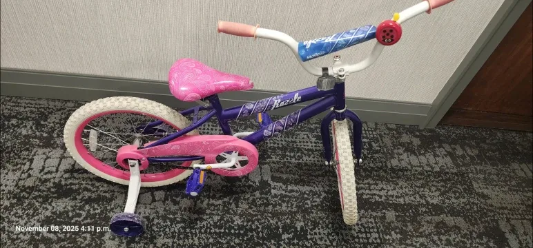 'Razzle' Kids' Bicycle (Moving Out Sale ) image indicator(4)