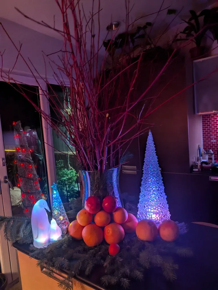 Festive Evergreen and other bows.  Winter Planter image indicator(6)