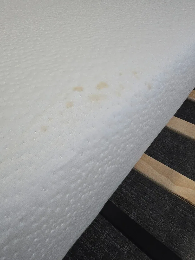 Queen Size Upholstered Platform Bed image indicator(8)