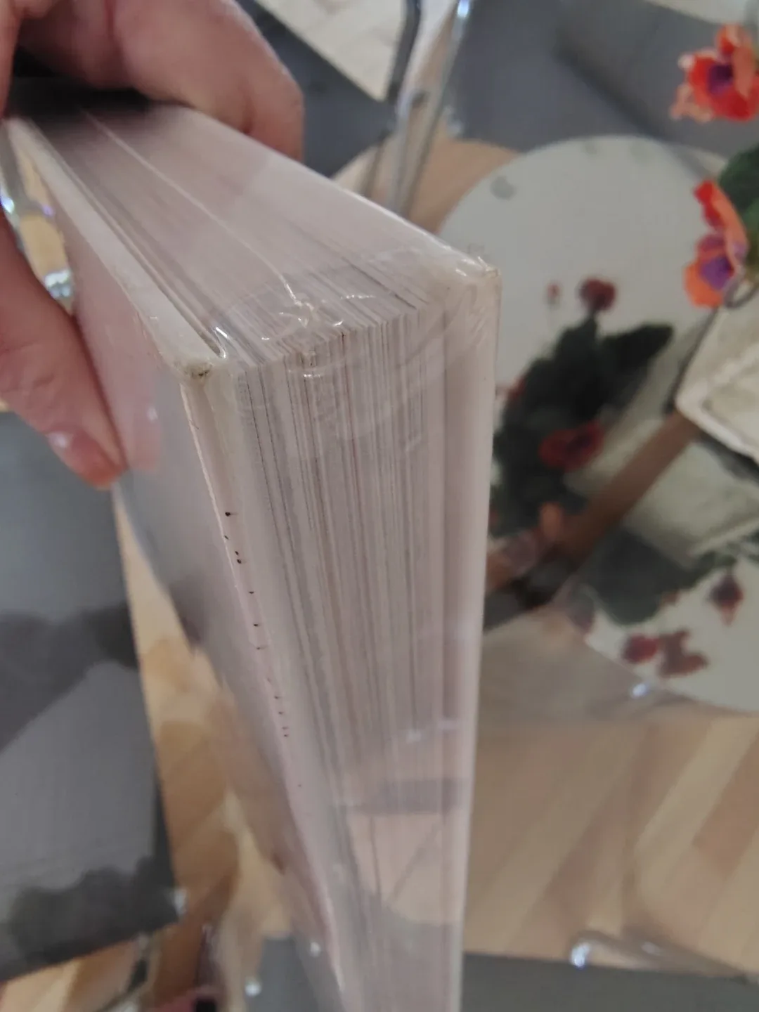 📘 100 Photos That Changed Canada – NEW, Sealed in Plastic! 🎁 image indicator(3)