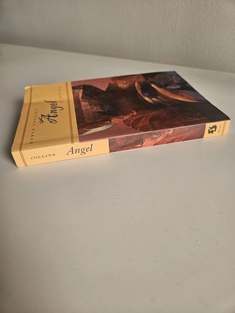 Angel novel by Merle Collins - photo 3