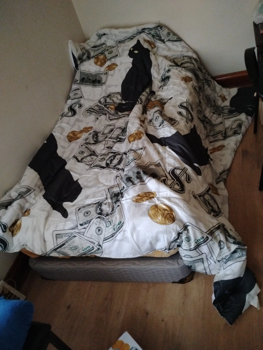 Money Print Polyester Blanket