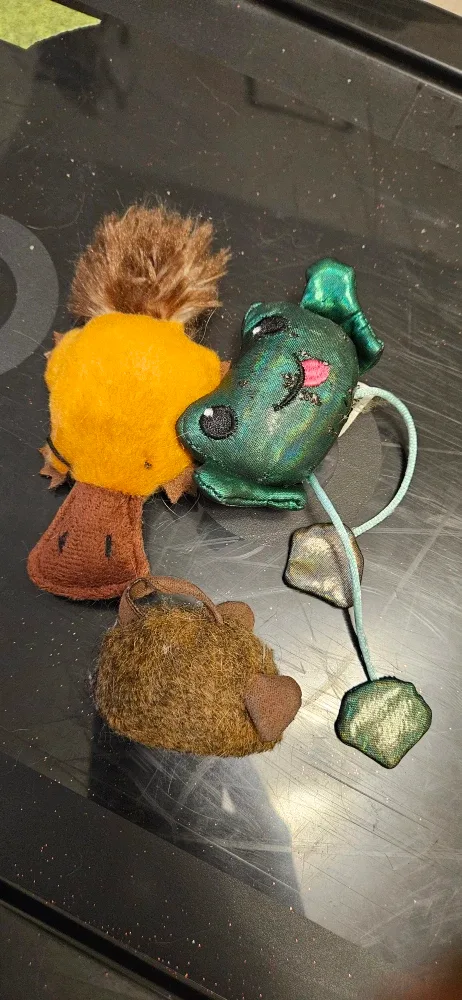 Assorted Cat Toys
