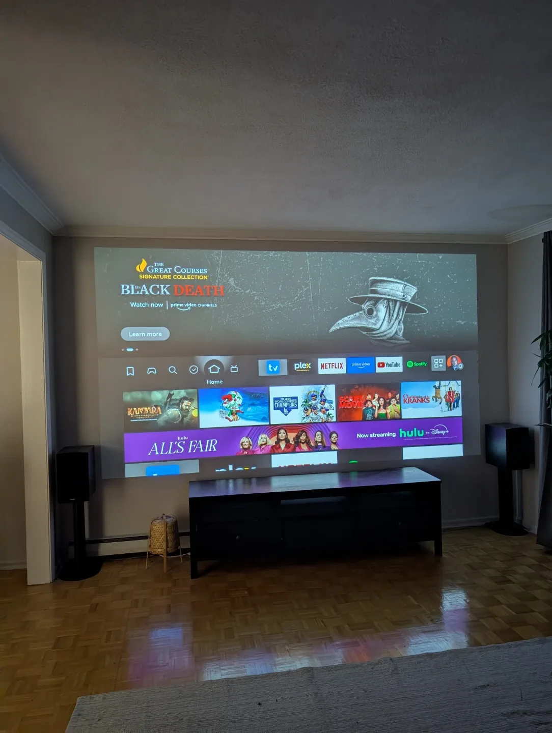 Optoma Projector image indicator(4)