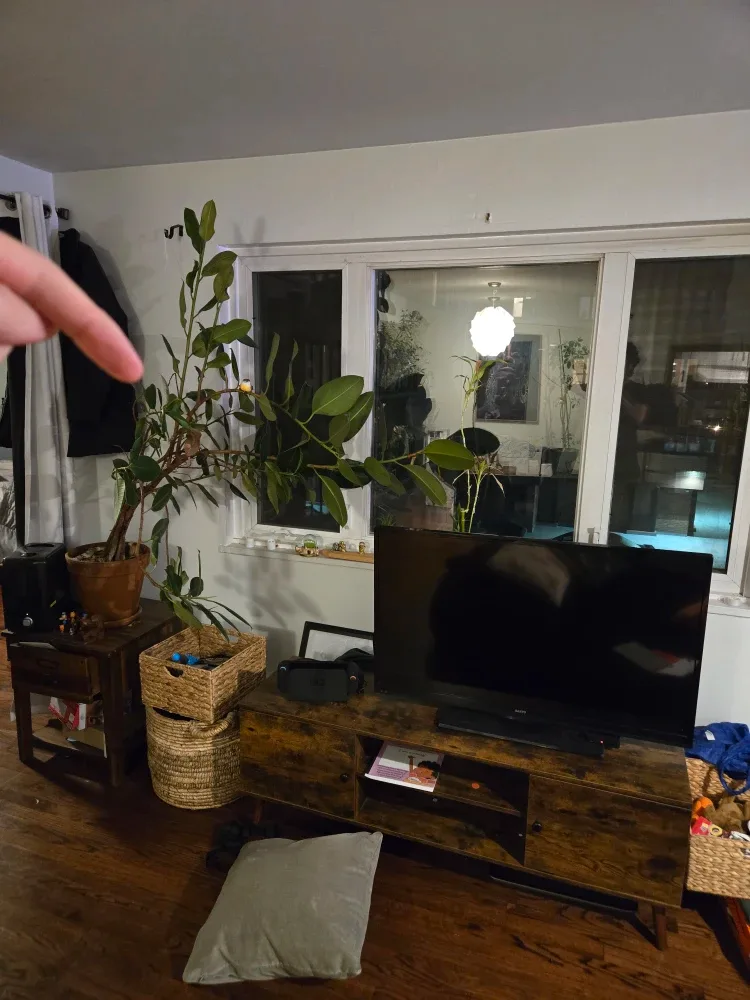 Rustic Brown TV Stand with Storage Cabinet image indicator(2)