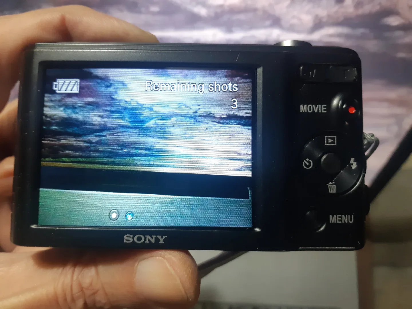Sony Cybershot DSC-W800 20.1MP image indicator(4)