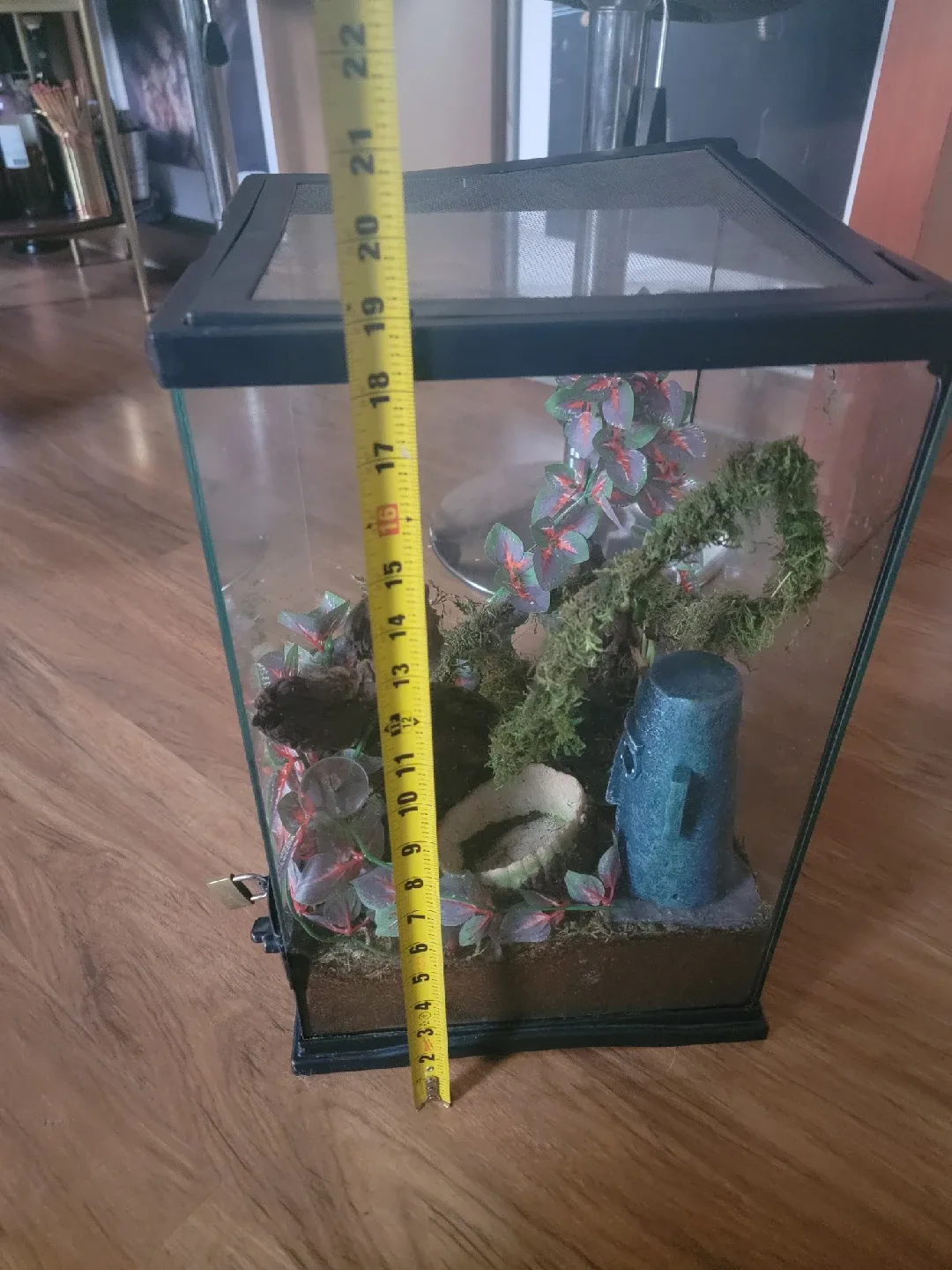Terrarium with decor image indicator(8)